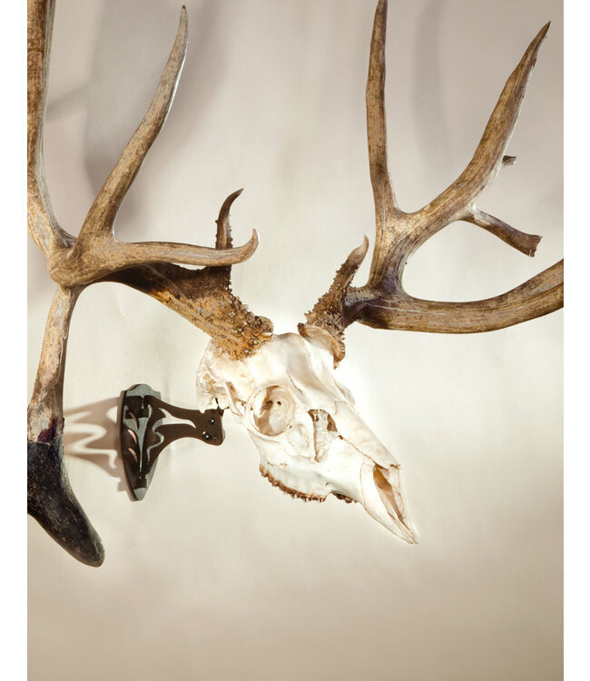 Mini Skull Hooker XS