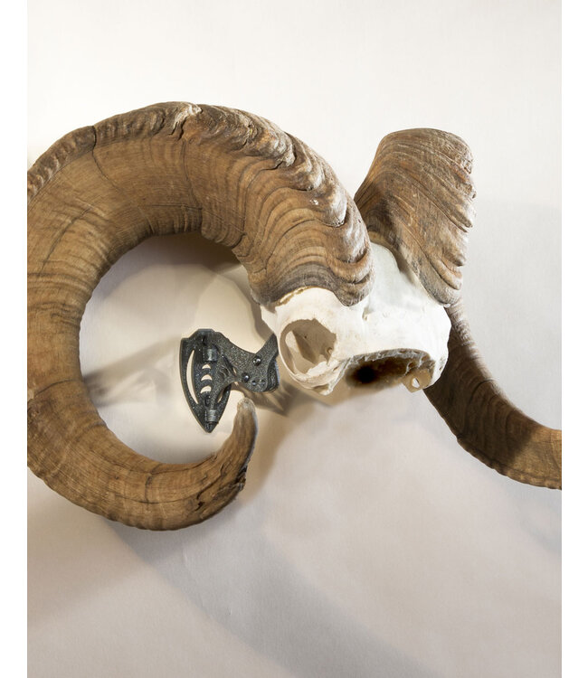 Skull Hooker Bone Bracket XXL