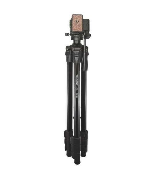 Black TP160 Premium Tripod