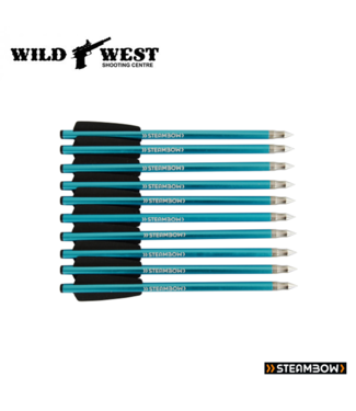 Steambow AR Series Target Arrows for Steambow Crossbow (10 Pack) Blue