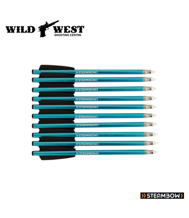 Steambow AR Series Target Arrows for Steambow Crossbow (10 Pack) Blue