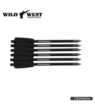 Steambow Bodkin Arrows for AR Series