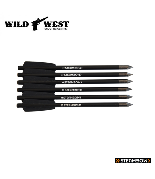 Steambow Bodkin Arrows for AR Series