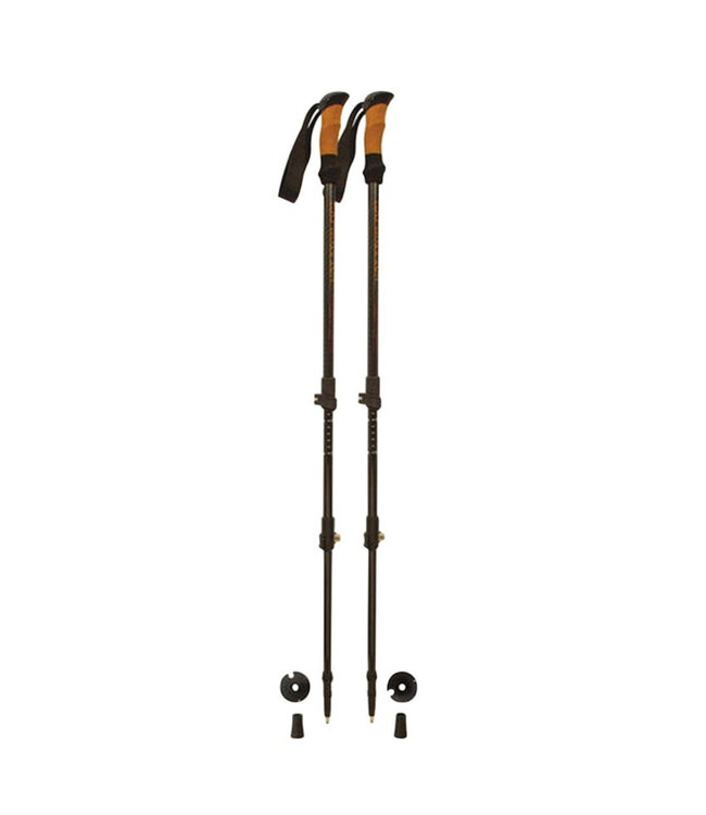 Sunshine Mountaineering Trekking Poles (Carbon)
