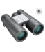 Bushnell Powerview Binoculars