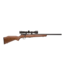 Savage Arms Savage 93 GVXP Hardwood Scoped 17 HMR Bolt - 21" - 5+1 Rd