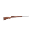 Savage Arms Savage 93G 22 WMR - Bolt - 21" - 5+1 Rd Wood Stock Blued Finish