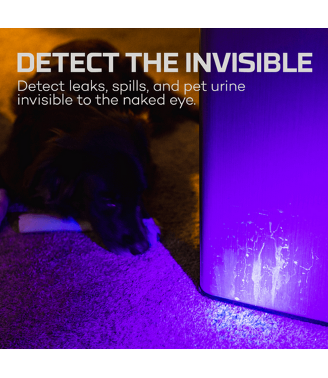 Nebo Torchy UV Flashlight LED 3AAA