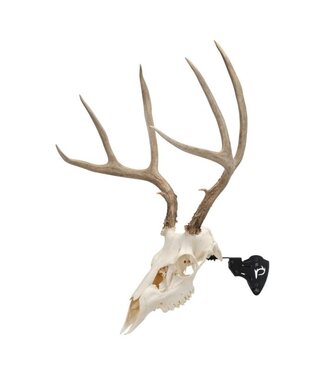 Allen Allen Company EZ Mount Adjustable Steel Skull Stand Black