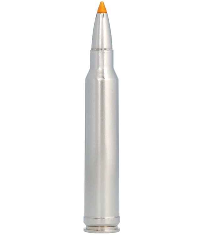 Premium 300 Win Mag 180gr Trophy Tip HP