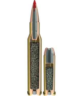 Hornady Custom Pistol Ammunition  .50 AE - 300gr XTP/HP