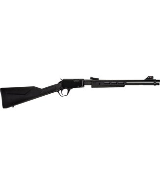 Rossi Rossi Gallery 22LR RP22181SY-EN15