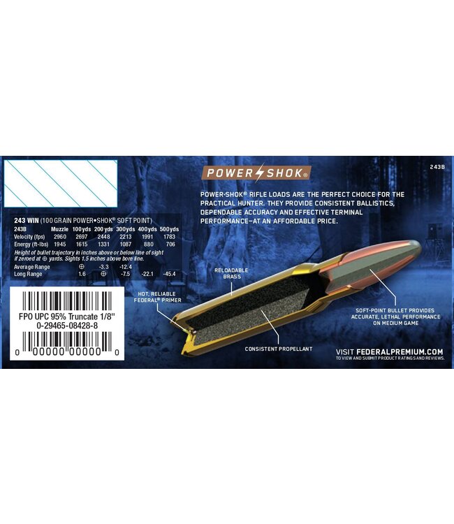 Power-Shok 243 Win 100gr SP