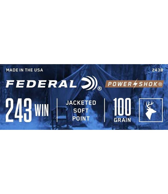 Power-Shok 243 Win 100gr SP