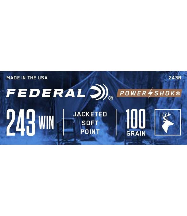 Power-Shok 243 Win 100gr SP