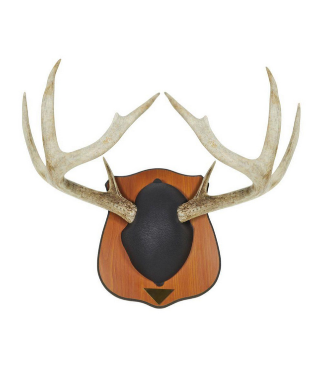 Allen Heirloom Mounting Plaque - Mossy Oak Back Country