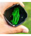 Primos Hunting NO-LOSE CALL CASE