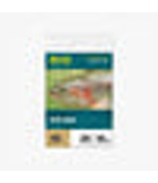 RIO Rio Indicator Tapered Leader 2X 10' 10lb
