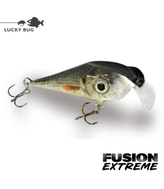 Lucky Bug Lure Company LTD. LUCKY BUG 2" FUSION GHOST BASS