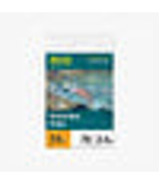 RIO Rio Powerflex Trout 15ft 4X 6.4lb Tapered Leader