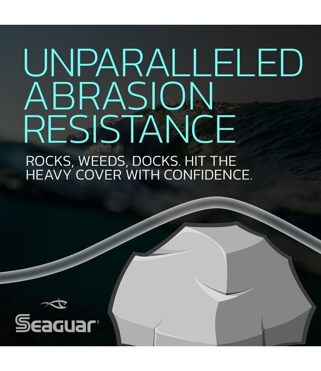Seaguar Red Label 100% Fluorocarbon Main Line 200yd  #8