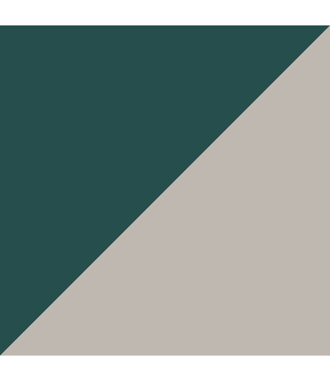 4 Person Skydome Tent