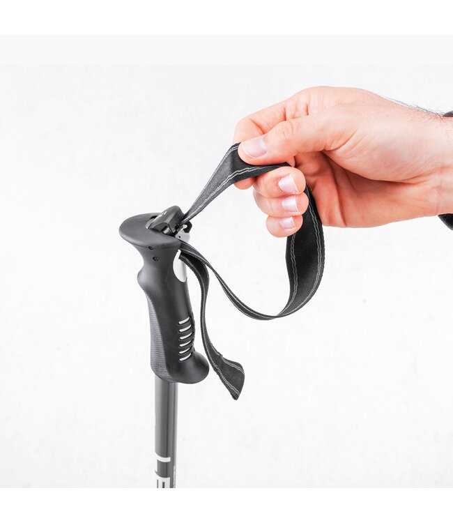 Trekking Poles Voyager Silver Grey/White