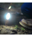 Stake Light 4 Pack