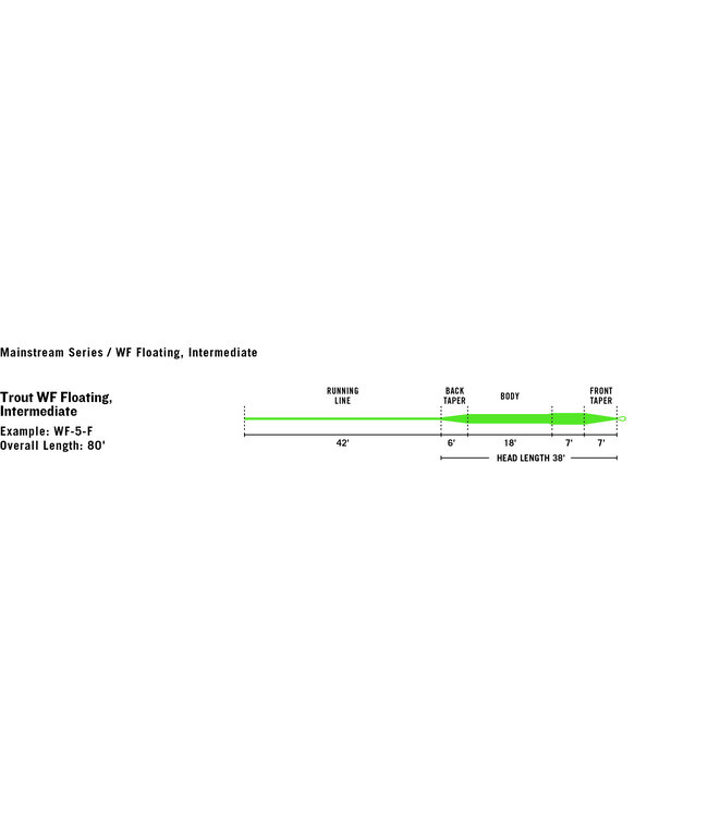 RIO Rio MainStream AquaLux Intermediate Sink Fly Lines WF6I Clear