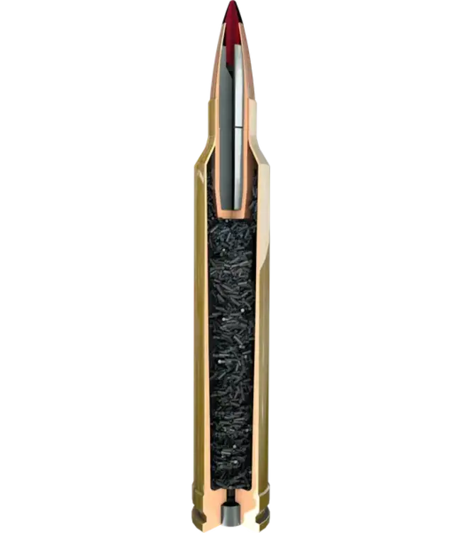 Hornady Precision Hunter Ammunition 300 RUM - 220gr ELD-X