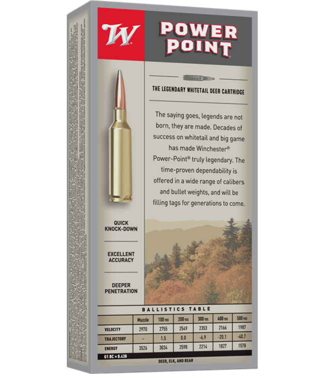 Winchester Super X 300 WSM 180gr PSP
