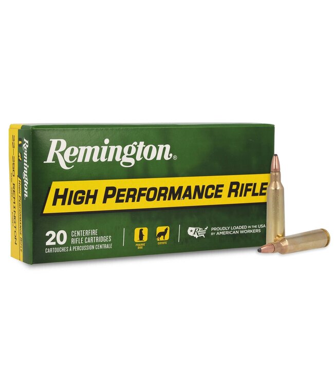Remington REMINGTON 22-250 REM 55gr PSP  R22501
