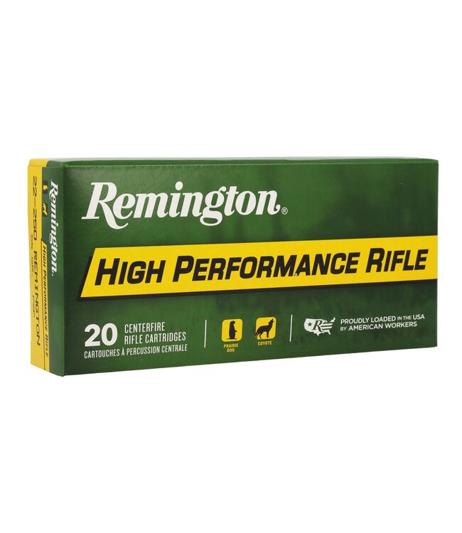 Remington REMINGTON 22-250 REM 55gr PSP  R22501