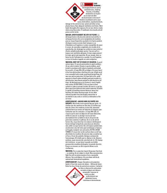 Mini Mag 22LR 36gr HP 100 Rnds