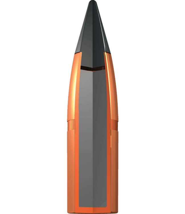 Winchester X243DS Deer Season XP