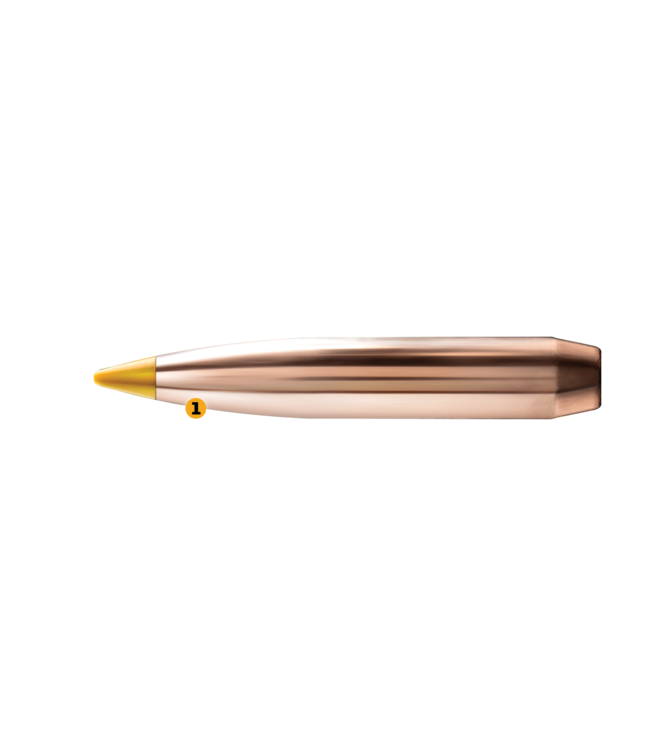 Browning CF Ammo 6.8 Western 175gr Tipped GameKing  Match Rifle Long Range