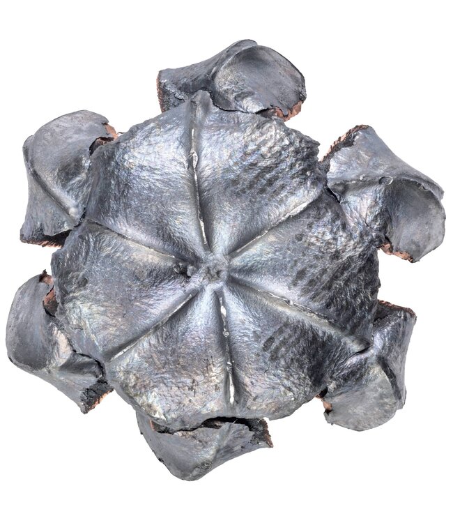 Premium Hammer Down Ammo 45 Colt 250gr BSP 20rd