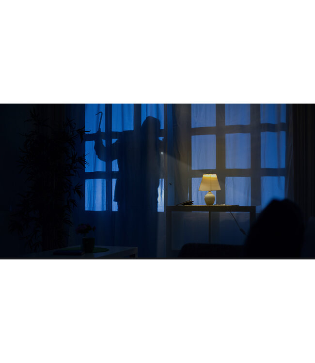 Hornady 44 Special Critical Defense 165 Grain FTX Box of 20 #90700