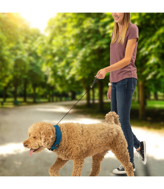 Nite Ize Raddog All In One Collar & Leash Blue Medium