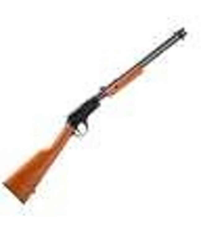 Rossi Gallery 22WMR 20in 12rd Black