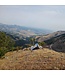 Bearwatch Systems Standard Ultralight Fence System