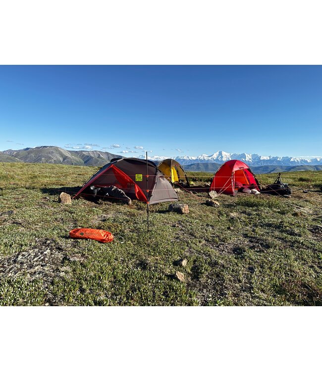 Bearwatch Systems Standard Ultralight Fence System