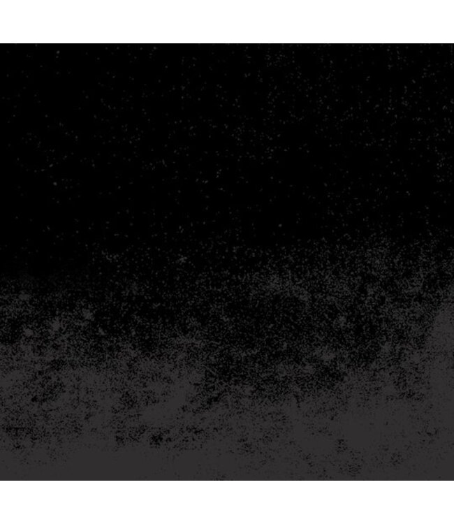 Buck Knives Buck 0286BKS Bantam,Black (5763)