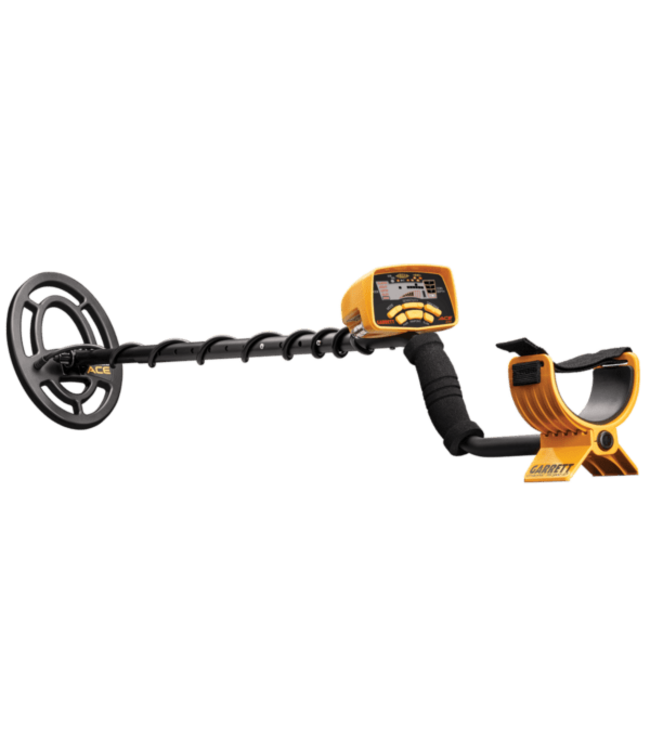Ace 250 Metal Detector