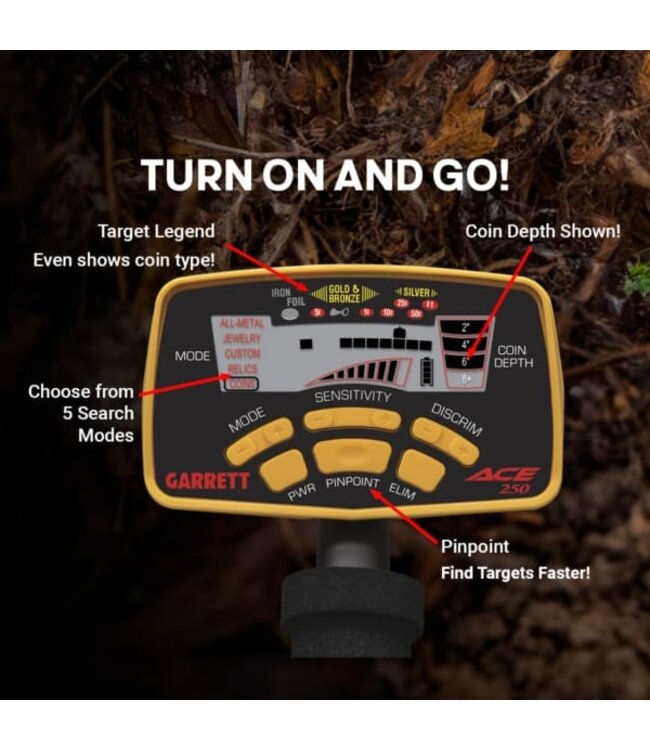 Ace 250 Metal Detector