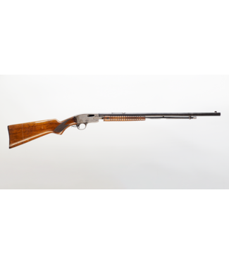 Savage 29 22LR D198 - 24in - Pump