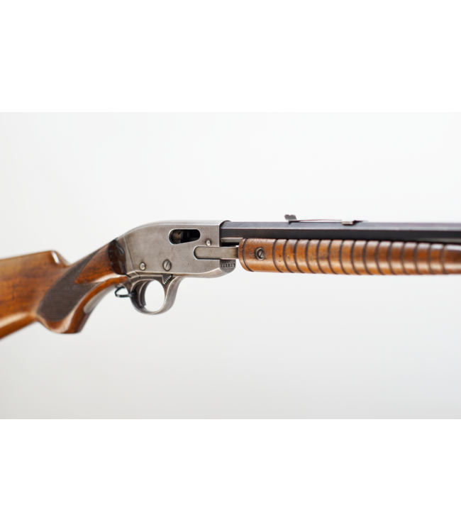 Savage 29 22LR D198 - 24in - Pump