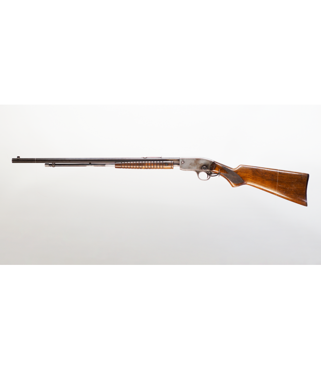 Savage 29 22LR D198 - 24in - Pump