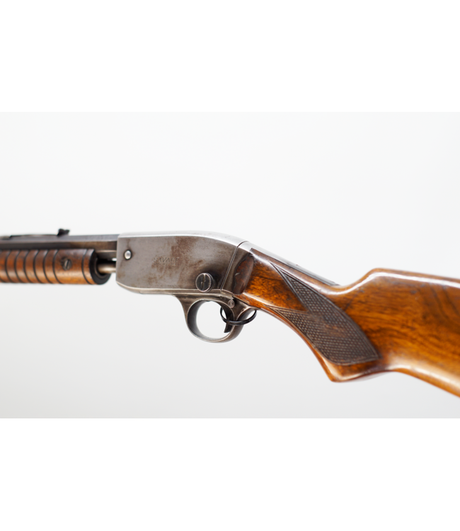 Savage 29 22LR D198 - 24in - Pump