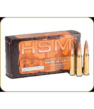 HSM 45-70 Govt 400gr 20rd